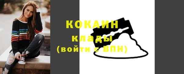 соль ск Няндома