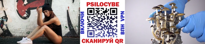 купить наркотики сайты  Северская  Псилоцибиновые грибы MAGIC MUSHROOMS 
