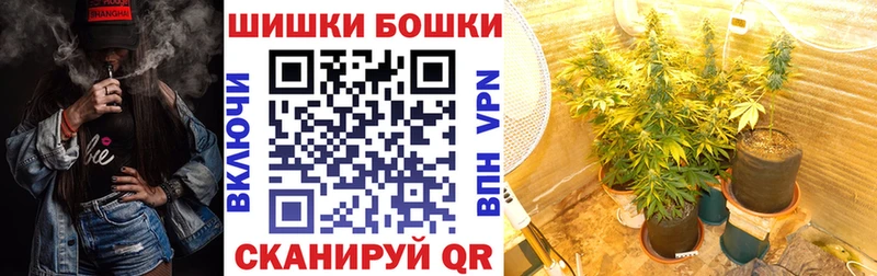 Конопля план  Северская 